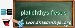 WordMeaning blackboard for platichthys flesus
